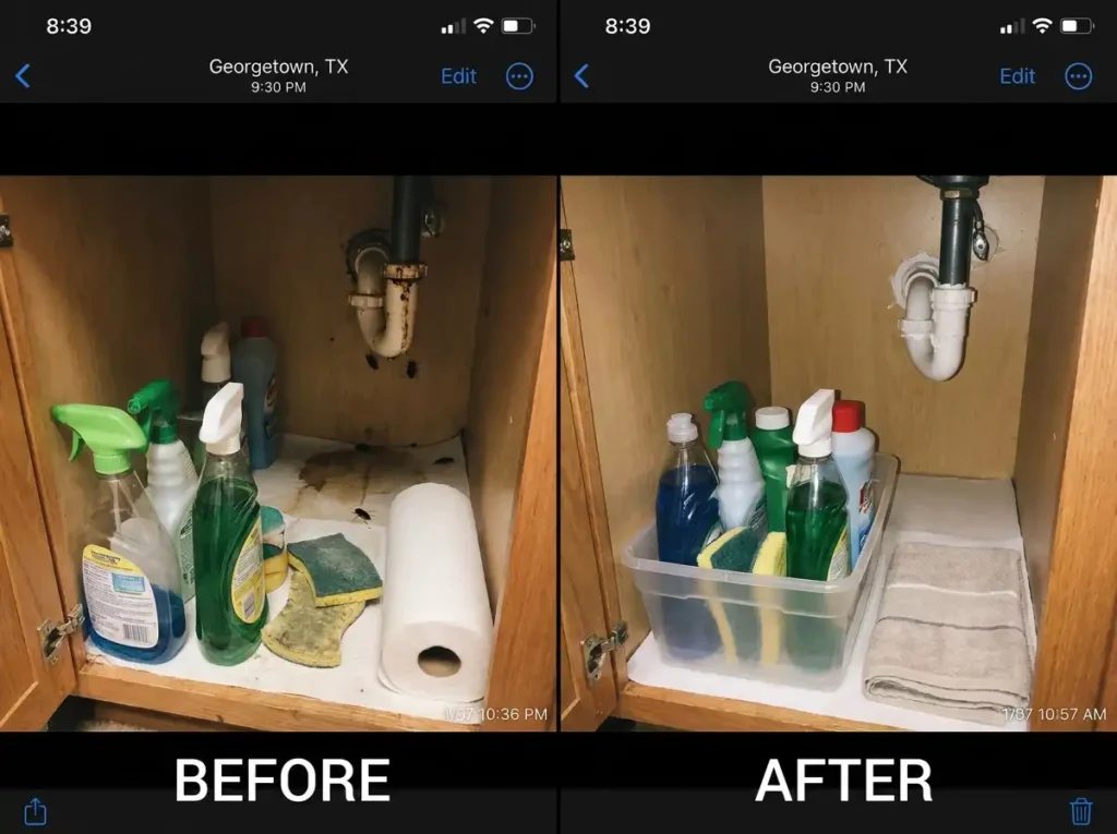 georgetown pest control, roach control project